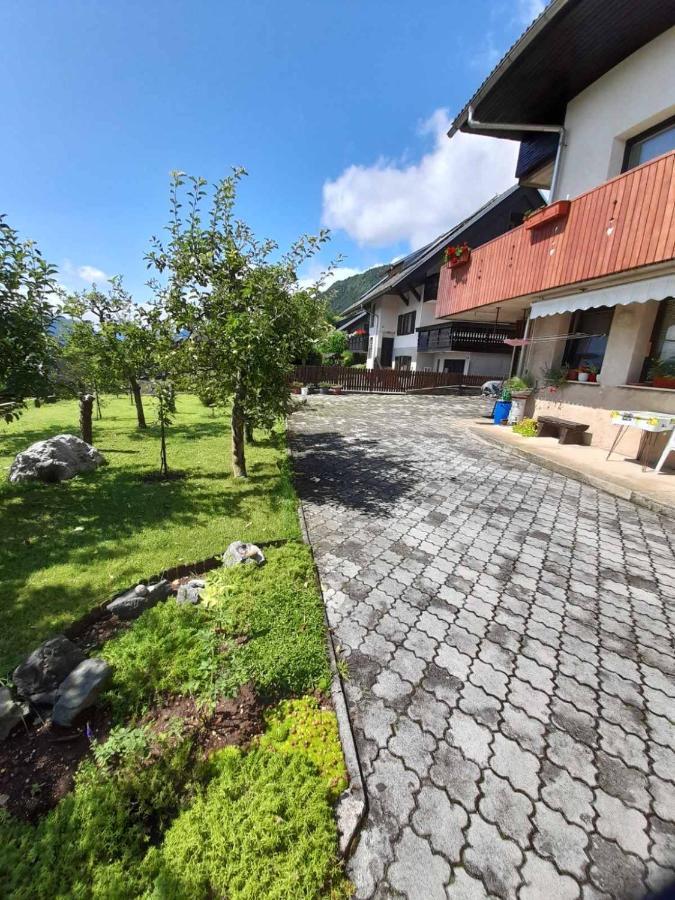 Apartment Katrin Жировниця Екстер'єр фото